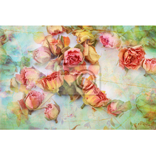 Фотообои - Винтажные сухие розы