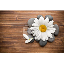 Фотообои - Спа-камни с цветами