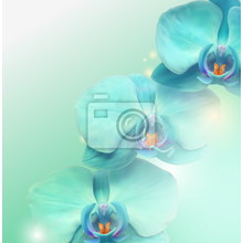 Фотообои - Орнамент из бледно-голубых орхидей