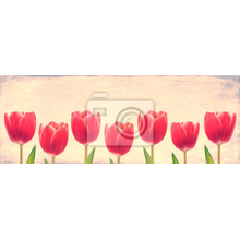 Фотообои - Семь розовых тюльпанов