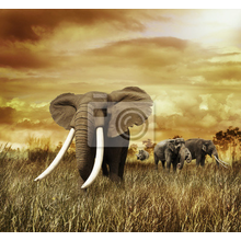Фотообои - Пейзаж со слонами