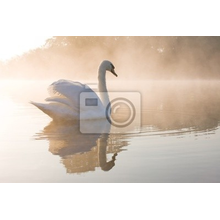 Фотообои - Лебедь в тумане