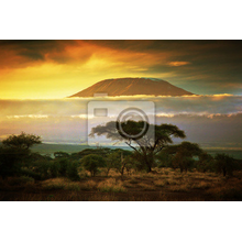 Фотообои с горой Килиманджаро