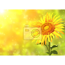 Фотообои - Цветок солнца