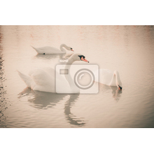Фотообои - Три лебедя на пруду