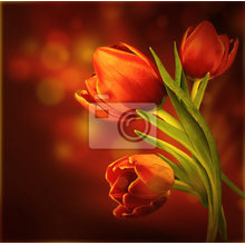 Фотообои - Оранжевые тюльпаны