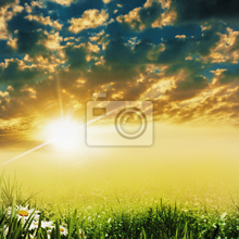 Фотообои - Солнечный природный пейзаж