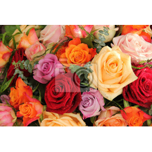 Фотообои - Разноцветный букет с розами