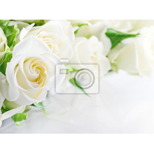 Фотообои - Белые розы