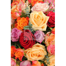 Фотообои на стену - Разноцветные розы