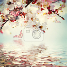 Фотообои - Абрикосовое цветение