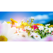 Фотообои с летними цветами