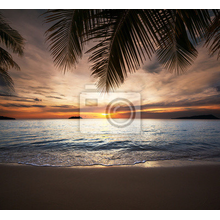 Фотообои - Тропический пляж ночью