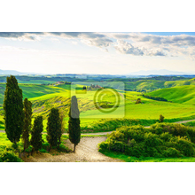 Фотообои - Зеленый тосканский пейзаж