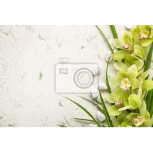 Фотообои - Зеленые орхидеи