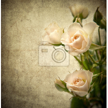 Фотообои - Винтажные розы