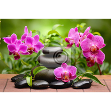 Фотообои - Камни и орхидеи