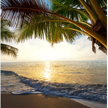 Фотообои - Морской пейзаж с пальмами