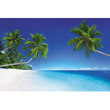 Фотообои на стену - Тропические пальмы на пляже