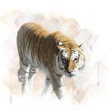 Арт-обои с рисованным тигром