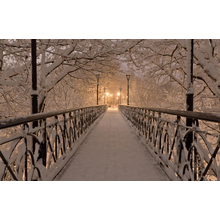 Фотообои - Ночной мост в снегу