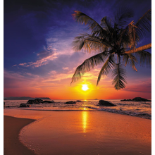 Тропический закат на пляже