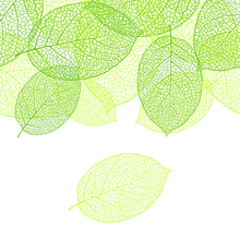 Фотообои - иллюстрация с зелеными листьями