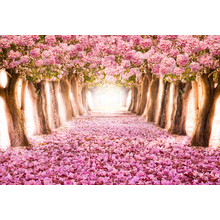 Фотообои с розовыми деревьями