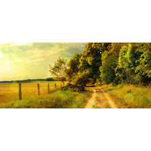 Фотообои с проселочной дорогой в поле на закате (пейзаж)