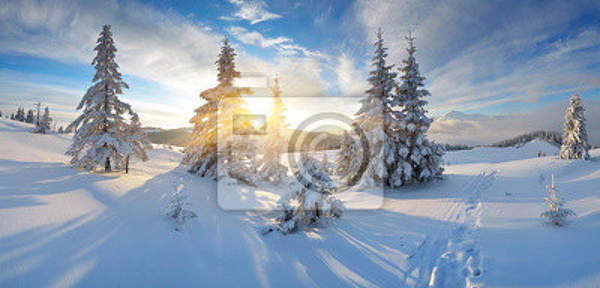 Фотообои - Зима