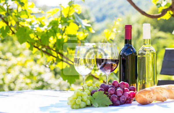 Фотообои на стену - Вино и виноград