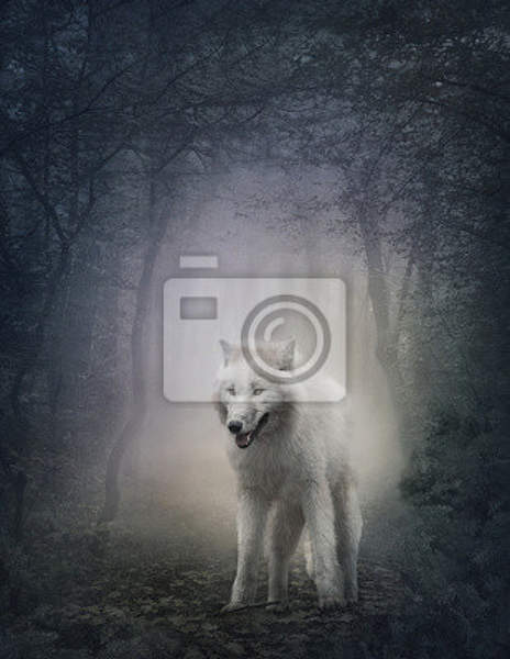 Фотообои - Белый волк