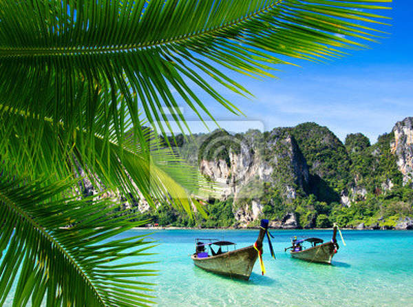 Фотообои с видом на лодки сквозь пальму