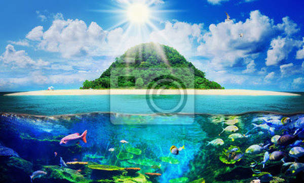 Фотообои на стену с подводный миром и островом