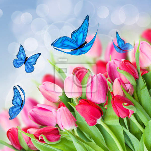 Фотообои с розовыми тюльпанами и бабочками