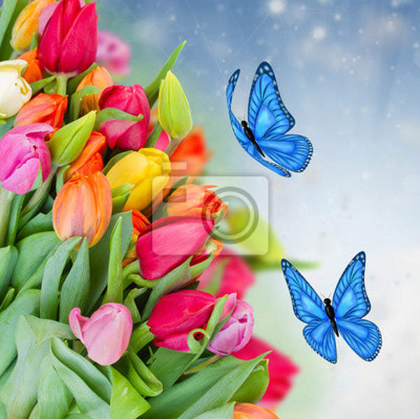 Фотообои - Букет тюльпанов с бабочками