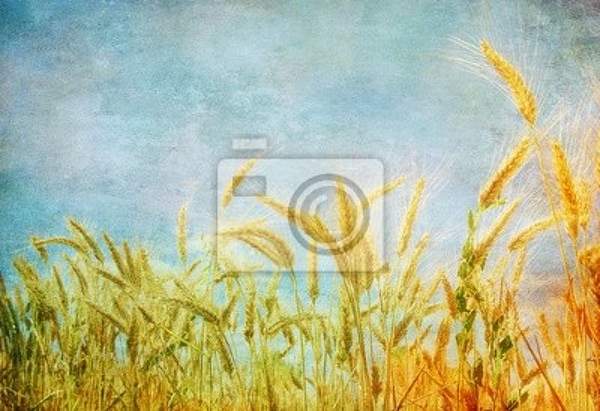 Фотообои в стиле винтаж с пшеницей