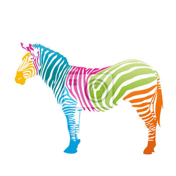 Арт-обои - Разноцветная зебра на белом фоне