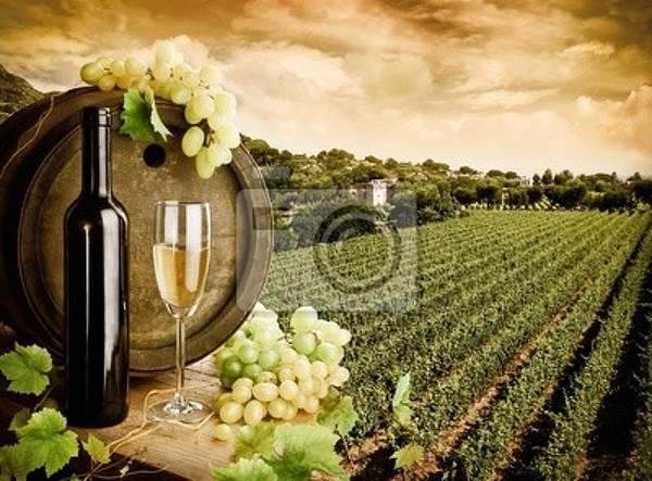 Фотообои - Вино и виноградник в винтажном стиле