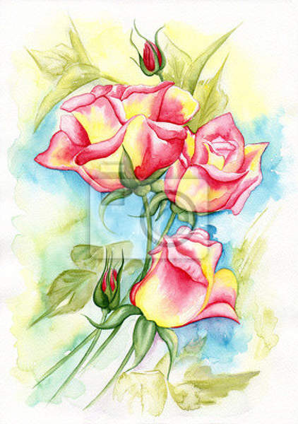 Фотообои - Иллюстрация красивых роз