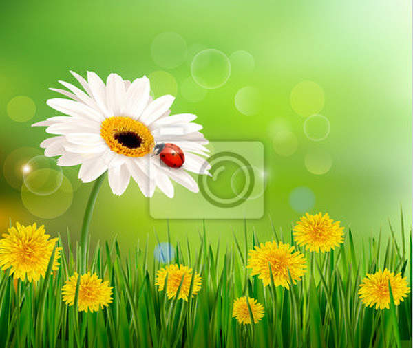 Фотообои - Летний луг с цветами