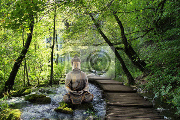 Фотообои - Будда в лесу
