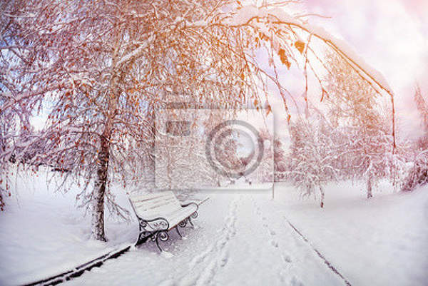 Фотообои - Зимний парк