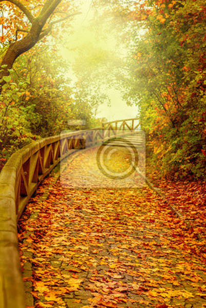 Фотообои - Осенний мостик