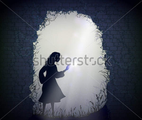 Фотообои с силуэтом девушки в сказочном ночном саду