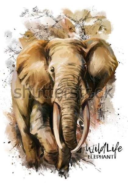 Фотообои со слоном (акварельный рисунок)