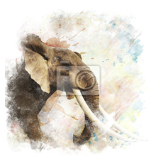 Фотообои с нарисованным слоном