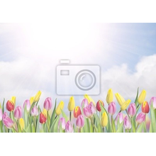 Фотообои с разноцветными весенними тюльпанами