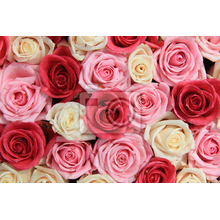 Фотообои с белыми и розовыми розами