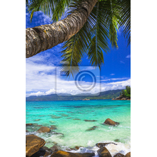 Фотообои - Океан и пальма